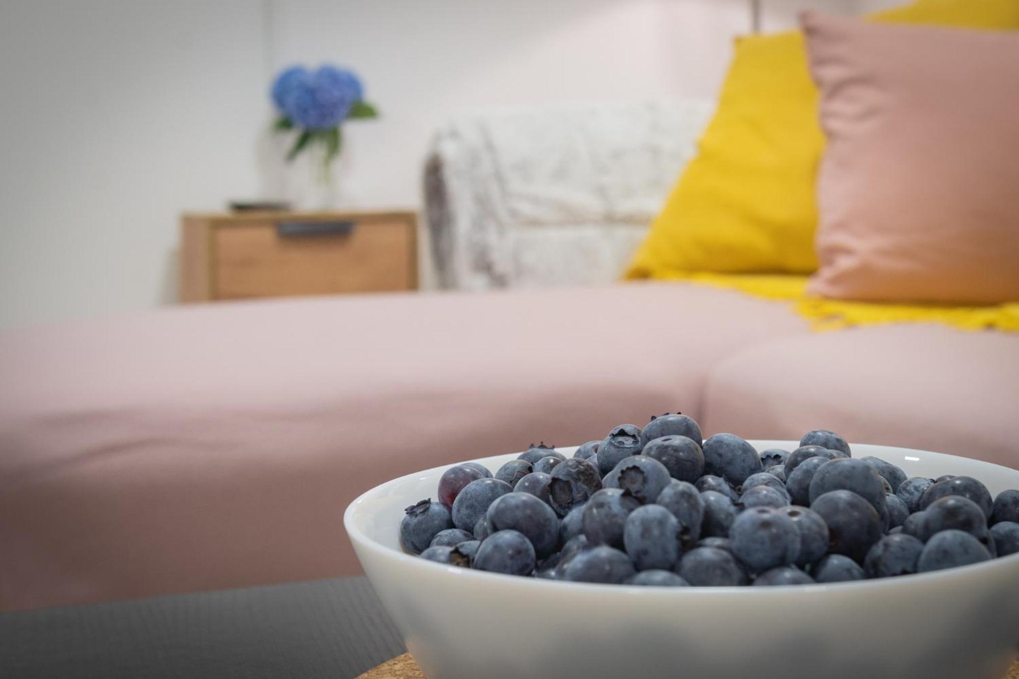 Apartamento Cuckoo'S Alpine Nest Lesce  Exterior foto